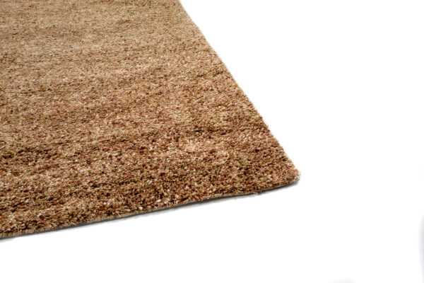 Brinker Carpets Salsa 502