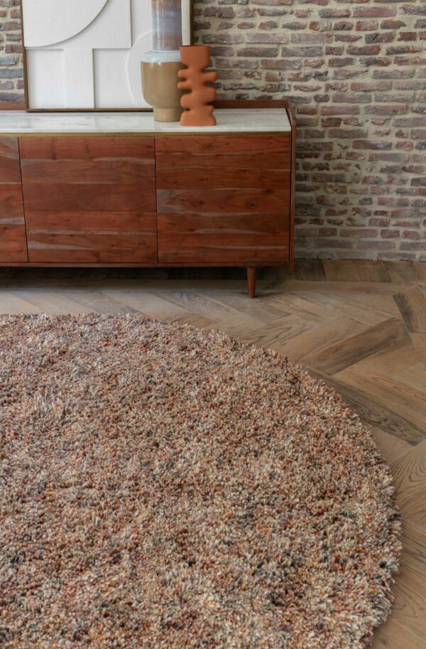 Brinker Carpet Salsa Multi Soft 11